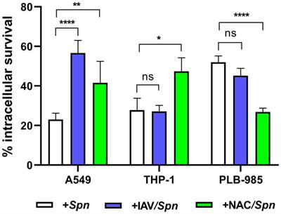 Intracellular Streptococcus pneumoniae develops enhanced fluoroquinolone persistence during influenza A coinfection
